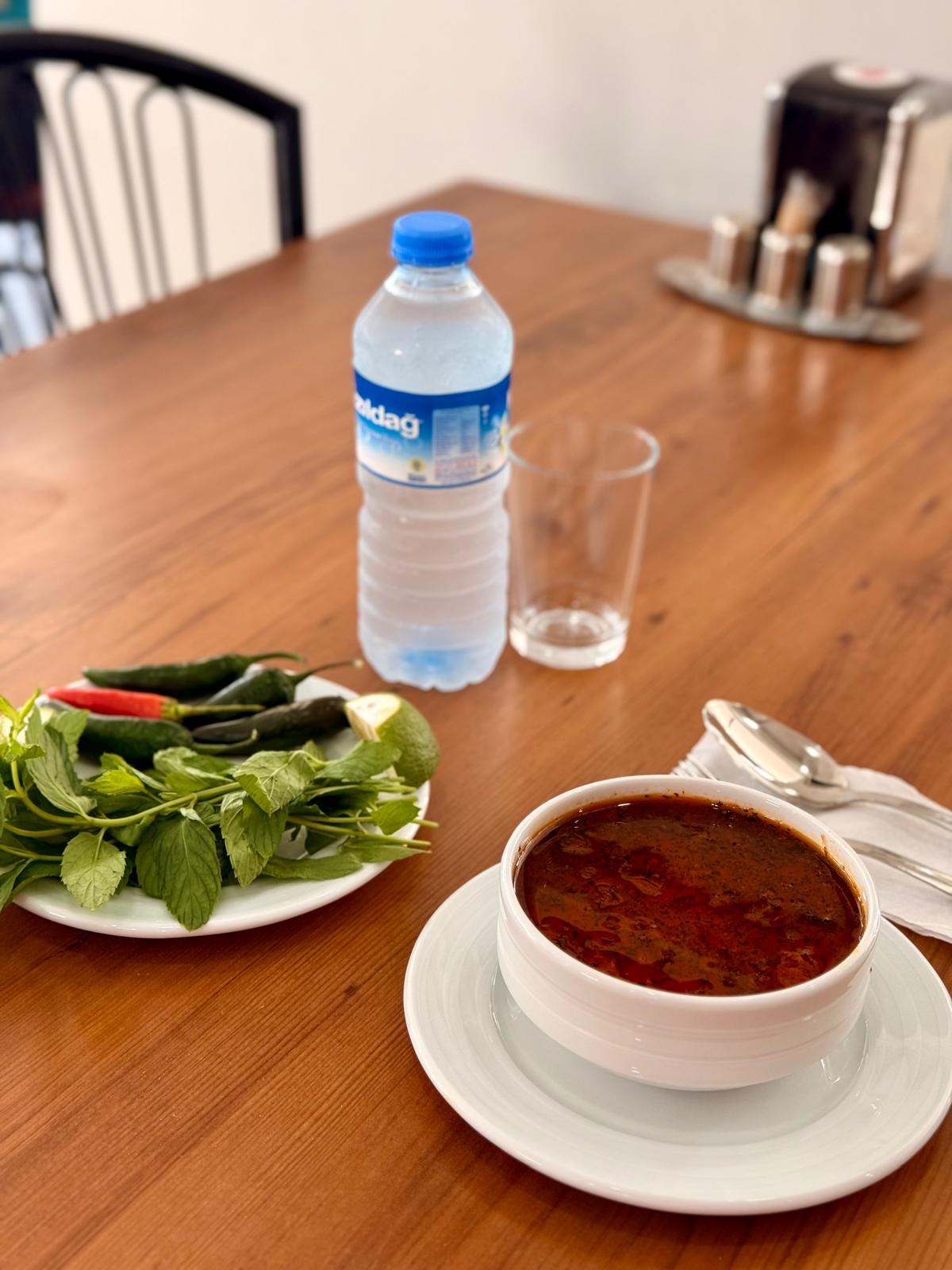 Geleneksel Tavuk Çorbası