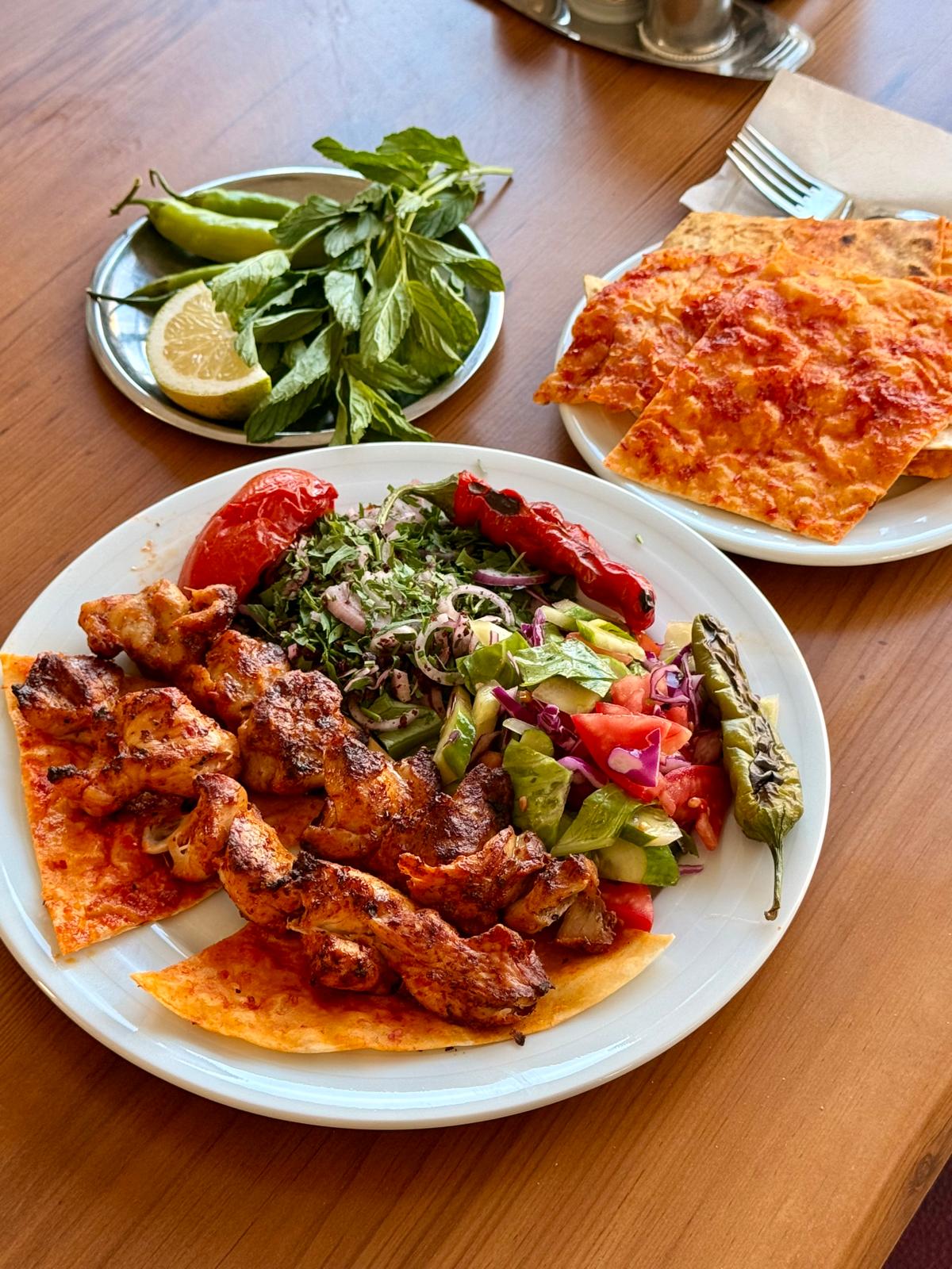 Tavuk Şiş Izgara